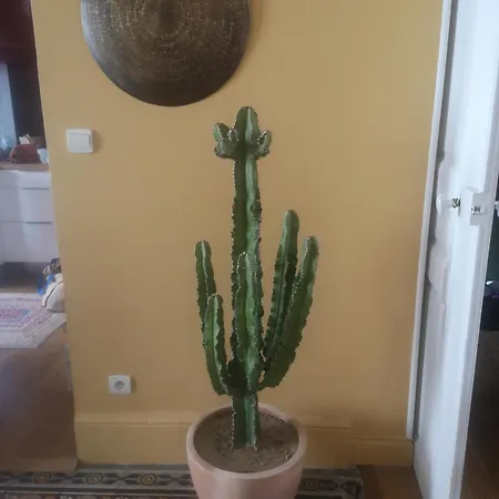 Lejlighed Bourgeois 2 4 Pers Centre *